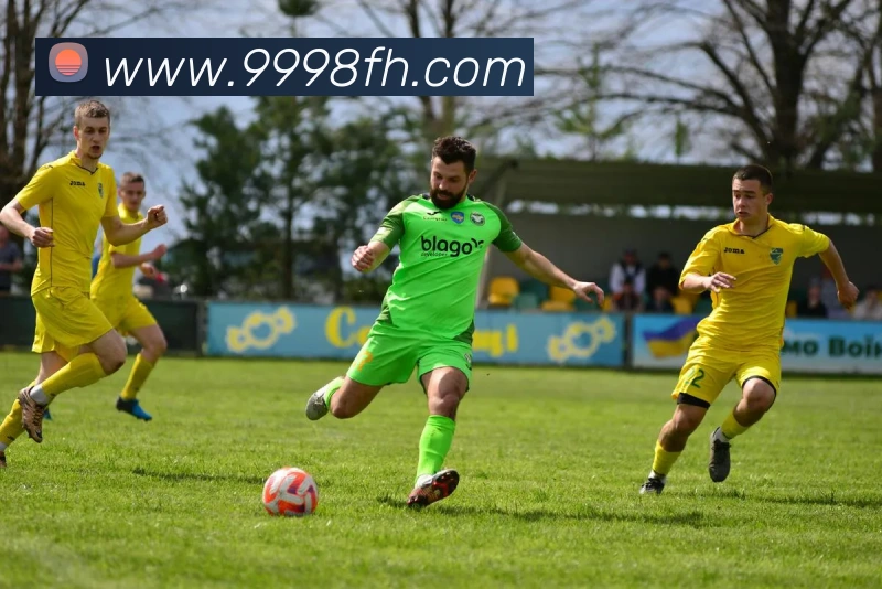 凤凰体育平台生态图